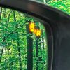 mazda cx-5 2017 quick_quick_KF2P_KF2P-114857 image 6