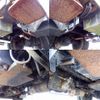 mitsubishi-fuso canter 1999 -MITSUBISHI--Canter KCｰFE567B--FE567B534375---MITSUBISHI--Canter KCｰFE567B--FE567B534375- image 11