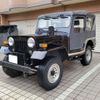 mitsubishi jeep 1996 CFJ0831269 image 17