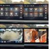 honda civic 2025 quick_quick_5BA-FL1_FL1-1301214 image 20