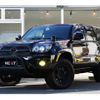 toyota hilux-surf 2007 quick_quick_CBA-TRN215W_TRN215-0015625 image 1