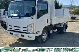 isuzu elf-truck 2010 GOO_NET_EXCHANGE_0902389A30250305W001