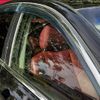 nissan skyline 2013 CFJ1832741 image 30