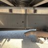 hino ranger 2018 GOO_NET_EXCHANGE_0404111A30250520W002 image 30