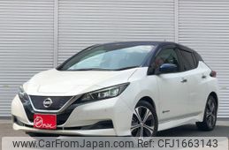 nissan leaf 2019 CFJ1663143