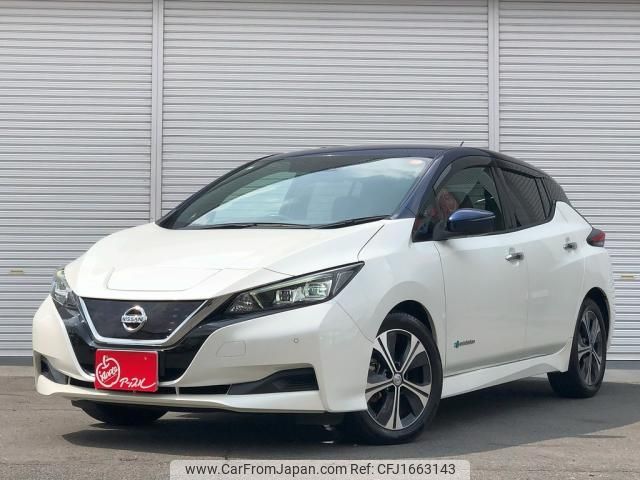nissan leaf 2019 CFJ1663143 image 1