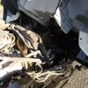 isuzu elf-truck 2003 CFJ1811027 image 33
