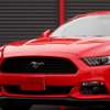 ford mustang 2015 -フォード--フォード　マスタング ﾌﾒｲ--1FA6P8TH7F5421771---フォード--フォード　マスタング ﾌﾒｲ--1FA6P8TH7F5421771- image 21