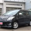 toyota alphard 2011 -TOYOTA--Alphard ANH25W--8029022---TOYOTA--Alphard ANH25W--8029022- image 1