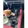 lexus rx 2024 CFJ1539582 image 23