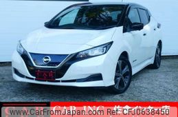 nissan leaf 2020 quick_quick_ZAA-ZE1_ZE1-066958