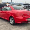 peugeot 307 2006 GOO_JP_700070884830240331008 image 43