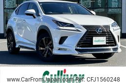 lexus nx 2019 CFJ1560248