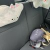 daihatsu move-conte 2014 CFJ1867143 image 11