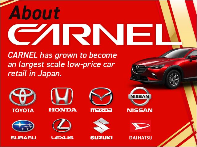 nissan sylphy 2013 S12381 image 2