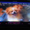 suzuki solio 2014 CFJ1108509 image 6