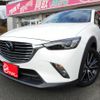 mazda cx-3 2018 -MAZDA--CX-3 6BA-DKEFW--DKEFW-107627---MAZDA--CX-3 6BA-DKEFW--DKEFW-107627- image 1