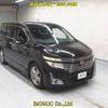 nissan elgrand 2010 -NISSAN--Elgrand PE52-002384---NISSAN--Elgrand PE52-002384- image 1