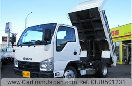 isuzu elf-truck 2019 GOO_NET_EXCHANGE_0208643A30241015W001