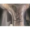 nissan cima 2014 -NISSAN--Cima DAA-HGY51--HGY51-603018---NISSAN--Cima DAA-HGY51--HGY51-603018- image 6