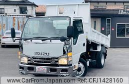 isuzu elf-truck 2010 GOO_NET_EXCHANGE_0404044A30250714W002