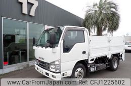 isuzu elf-truck 2019 GOO_NET_EXCHANGE_0402607A30250527W001