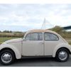 volkswagen-the-beetle-1974-13434-car_9e903da8-3e5c-4683-a794-85d360442815