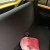 daihatsu esse 2010 -DAIHATSU--Esse DBA-L235S--L235S-2021837---DAIHATSU--Esse DBA-L235S--L235S-2021837- image 11