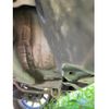 honda n-wgn 2014 CFJ1564976 image 28