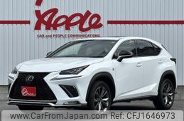 lexus nx 2019 CFJ1646973