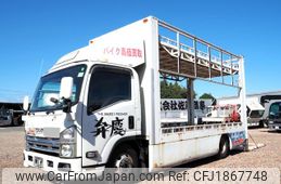 isuzu elf-truck 2007 CFJ1867748