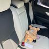 nissan x-trail 2016 -NISSAN--X-Trail DAA-HNT32--HNT32-127365---NISSAN--X-Trail DAA-HNT32--HNT32-127365- image 14