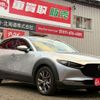 mazda cx-3 2019 CFJ1672881 image 19