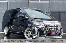 toyota alphard 2010 GOO_JP_700030313530230205001