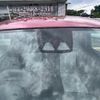 daihatsu mira-e-s 2019 -DAIHATSU--Mira e:s 5BA-LA350S--LA350S-0150645---DAIHATSU--Mira e:s 5BA-LA350S--LA350S-0150645- image 12