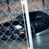 ford mustang 2016 -FORD--Ford Mustang humei--国[01]074193---FORD--Ford Mustang humei--国[01]074193- image 26