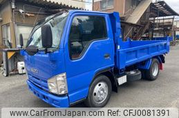 isuzu elf-truck 2008 GOO_NET_EXCHANGE_0706816A30240730W001