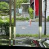 bmw x3 2018 -BMW 【名変中 】--BMW X3 TX20--0LB26710---BMW 【名変中 】--BMW X3 TX20--0LB26710- image 14