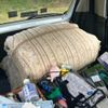 suzuki wagon-r 2009 -SUZUKI--Wagon R DBA-MH23S--MH23S-534494---SUZUKI--Wagon R DBA-MH23S--MH23S-534494- image 12