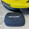 mercedes-benz slr-mclaren 2019 -OTHER IMPORTED--McLaren P13C--SBM13CAE0KW006301---OTHER IMPORTED--McLaren P13C--SBM13CAE0KW006301- image 20