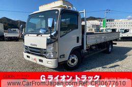 isuzu elf-truck 2008 GOO_NET_EXCHANGE_0730233A30250123W002