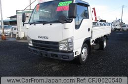 isuzu elf-truck 2010 GOO_NET_EXCHANGE_0901053A30241225W001