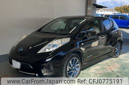 nissan leaf 2017 -NISSAN 【名古屋 306ぬ120】--Leaf AZE0-224309---NISSAN 【名古屋 306ぬ120】--Leaf AZE0-224309-