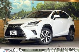 lexus nx 2019 CFJ1821569