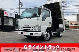 isuzu elf-truck 2016 GOO_NET_EXCHANGE_0730189A30250609W001