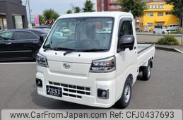 daihatsu hijet-truck 2024 -DAIHATSU 【名変中 】--Hijet Truck S500P--0196041---DAIHATSU 【名変中 】--Hijet Truck S500P--0196041-