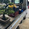 daihatsu hijet-truck 2013 CFJ1597766 image 6