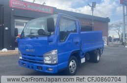 isuzu elf-truck 2009 GOO_NET_EXCHANGE_0401987A30250307W001