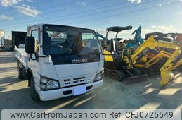 isuzu elf-truck 2007 GOO_NET_EXCHANGE_0520386A30250205W001