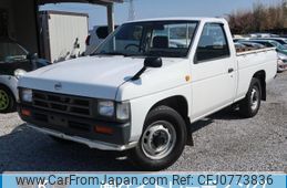 nissan datsun-pickup 1994 -NISSAN--DATSUN PickUp D21--430313---NISSAN--DATSUN PickUp D21--430313-